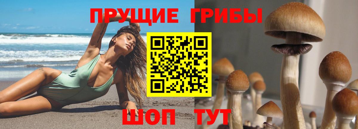 Люберцы  Галлюциногенные грибы ЛСД  Вход с VPN 